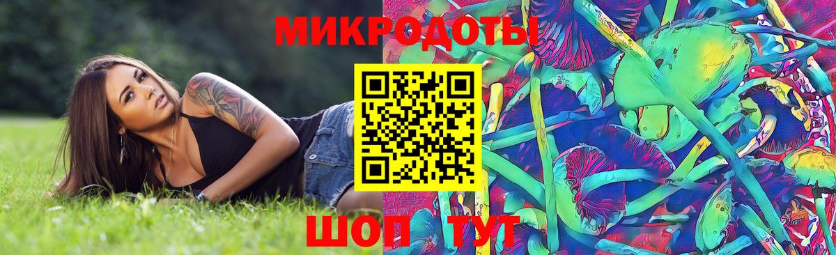 Псилоцибиновые грибы Cubensis Топки