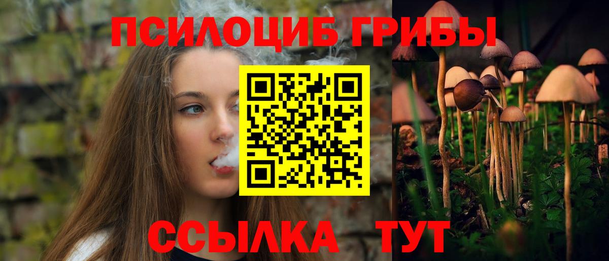 Галлюциногенные грибы MAGIC MUSHROOMS  Галлюциногенные грибы Psilocybe  Топки  Вход с VPN 